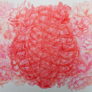 Peony