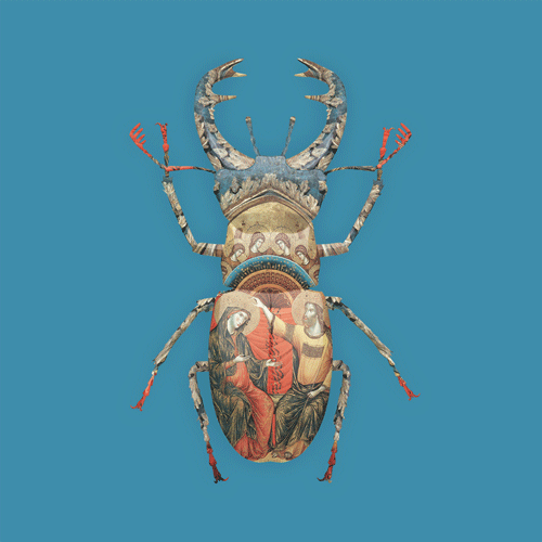 Venetian stag beetle