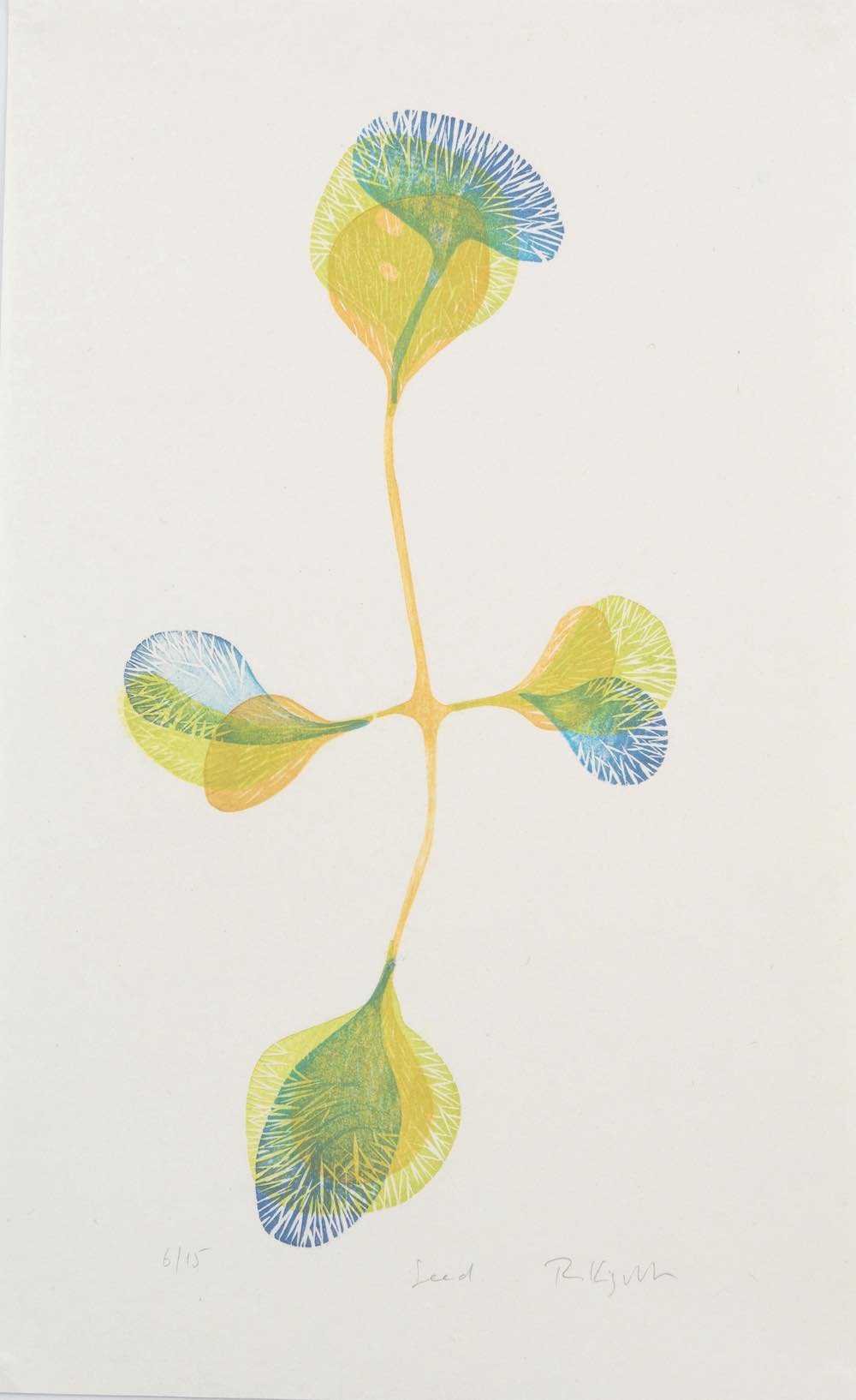 Seed
