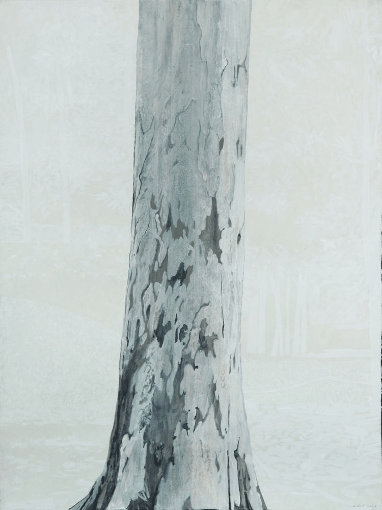 Figure Of Eucalyptus A.