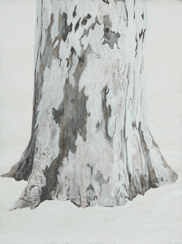 Figure Of Eucalyptus B.