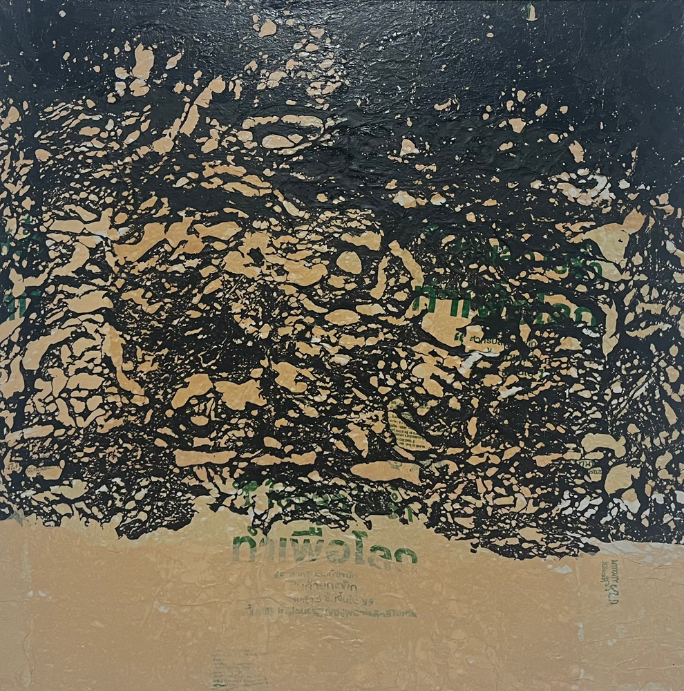 Newscape 5