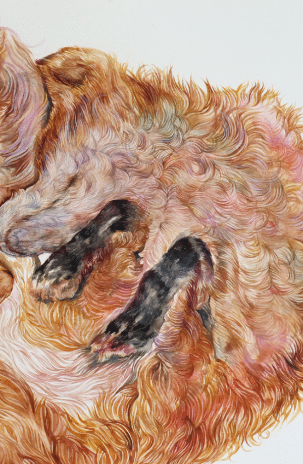 Fox and Rabbit - Image 3