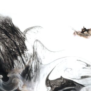 Wind Lotus