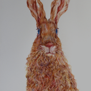 Wild Rabbit