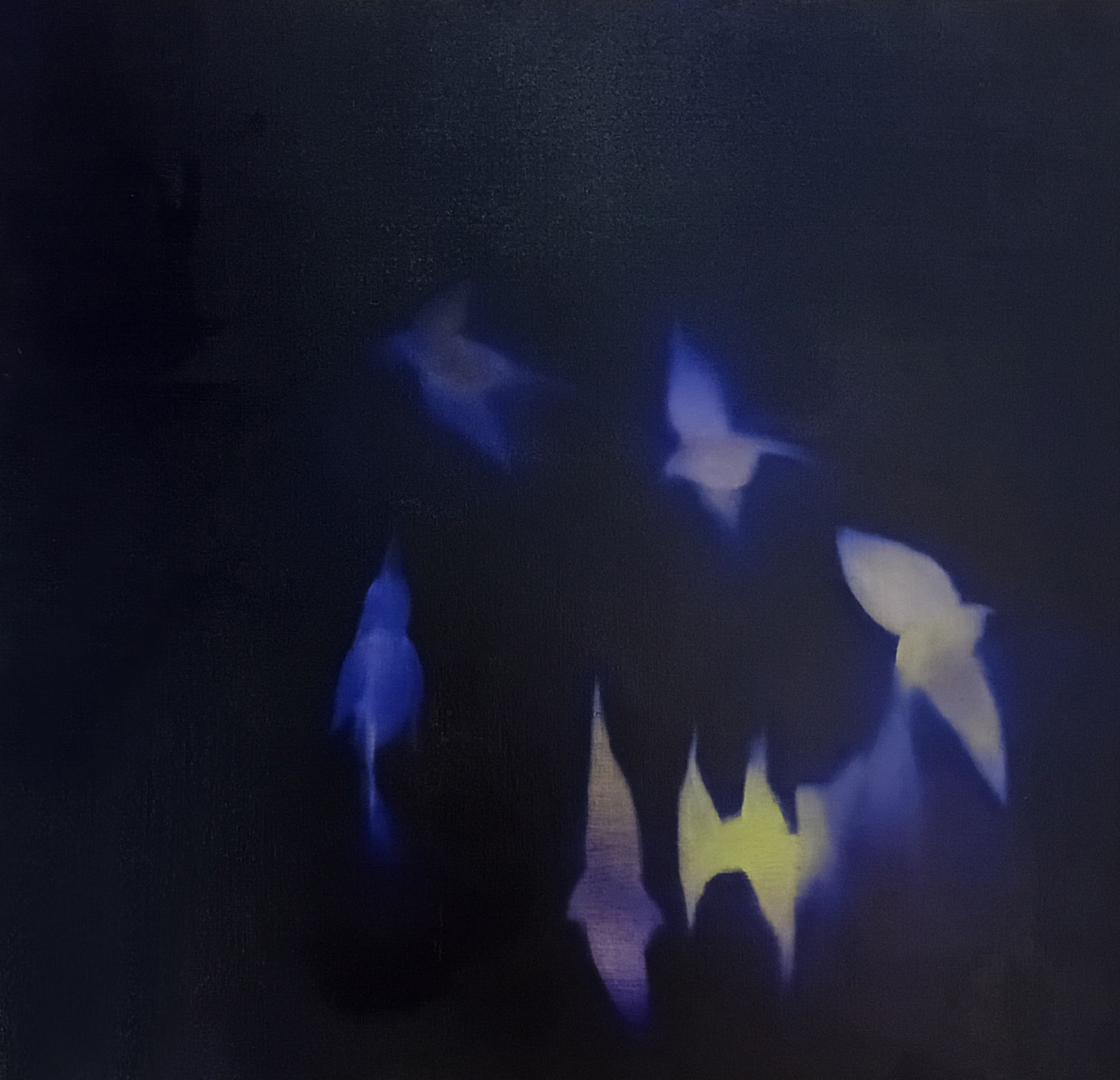 The Sky is Not the Same