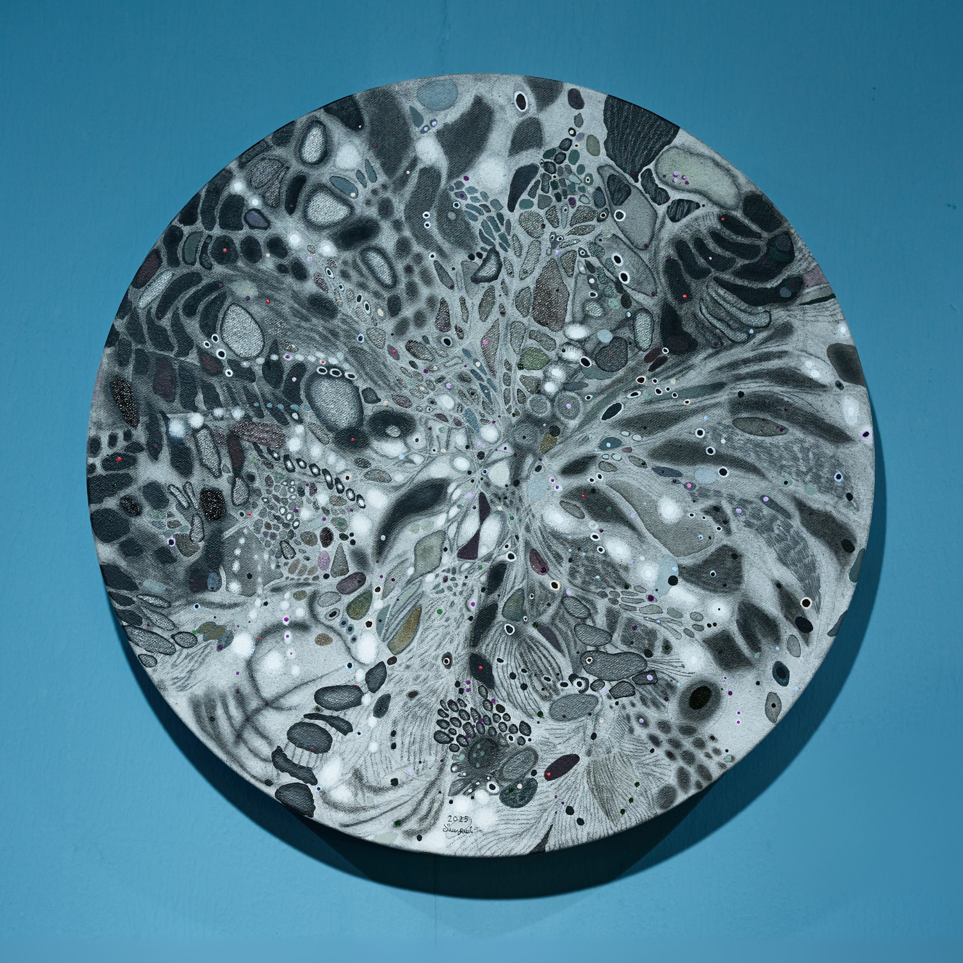 The Universe in a Butterfly’s Wings