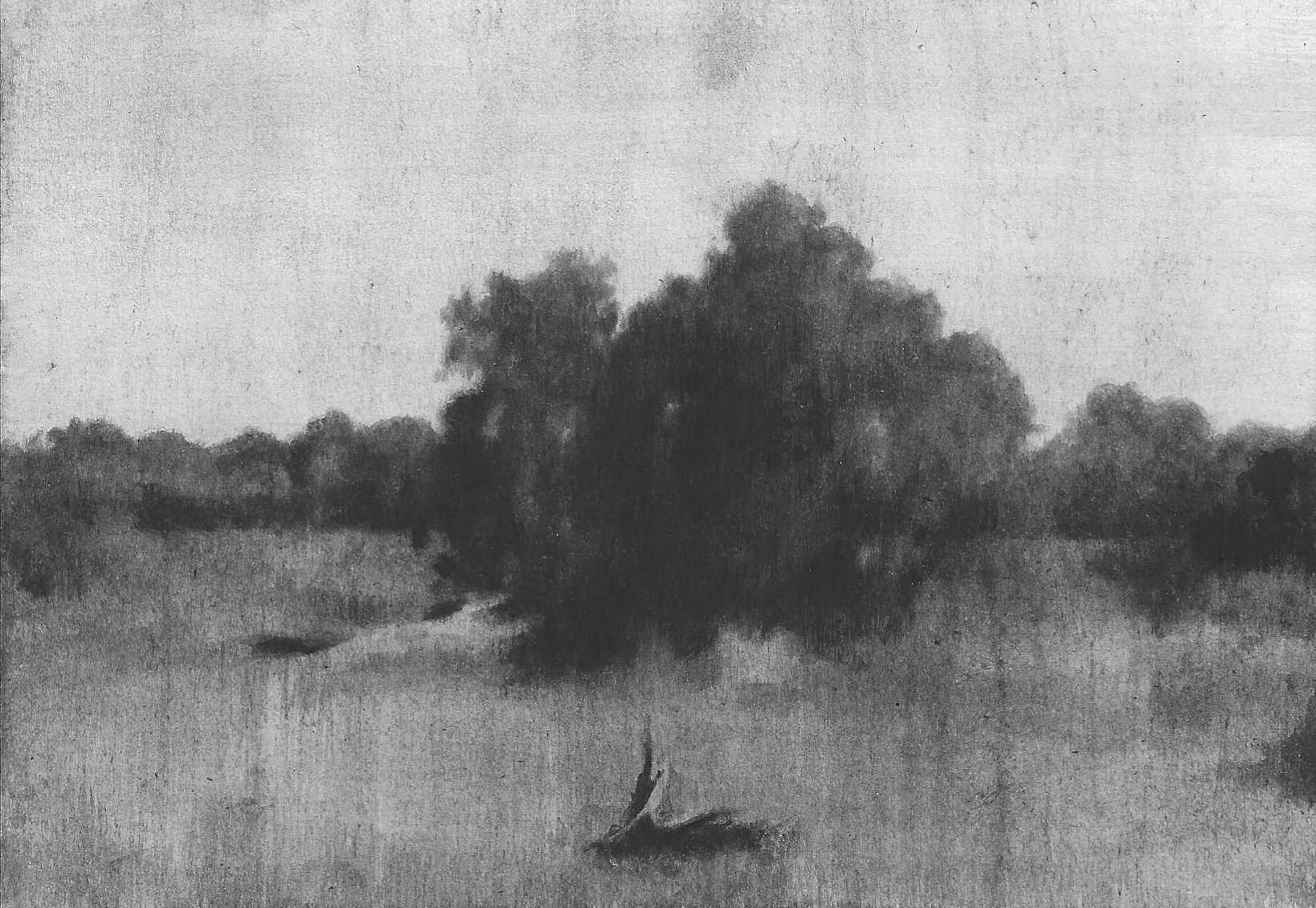 พุ่มไม้