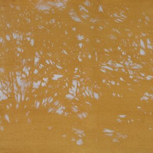 Light Of The Dreaming #1