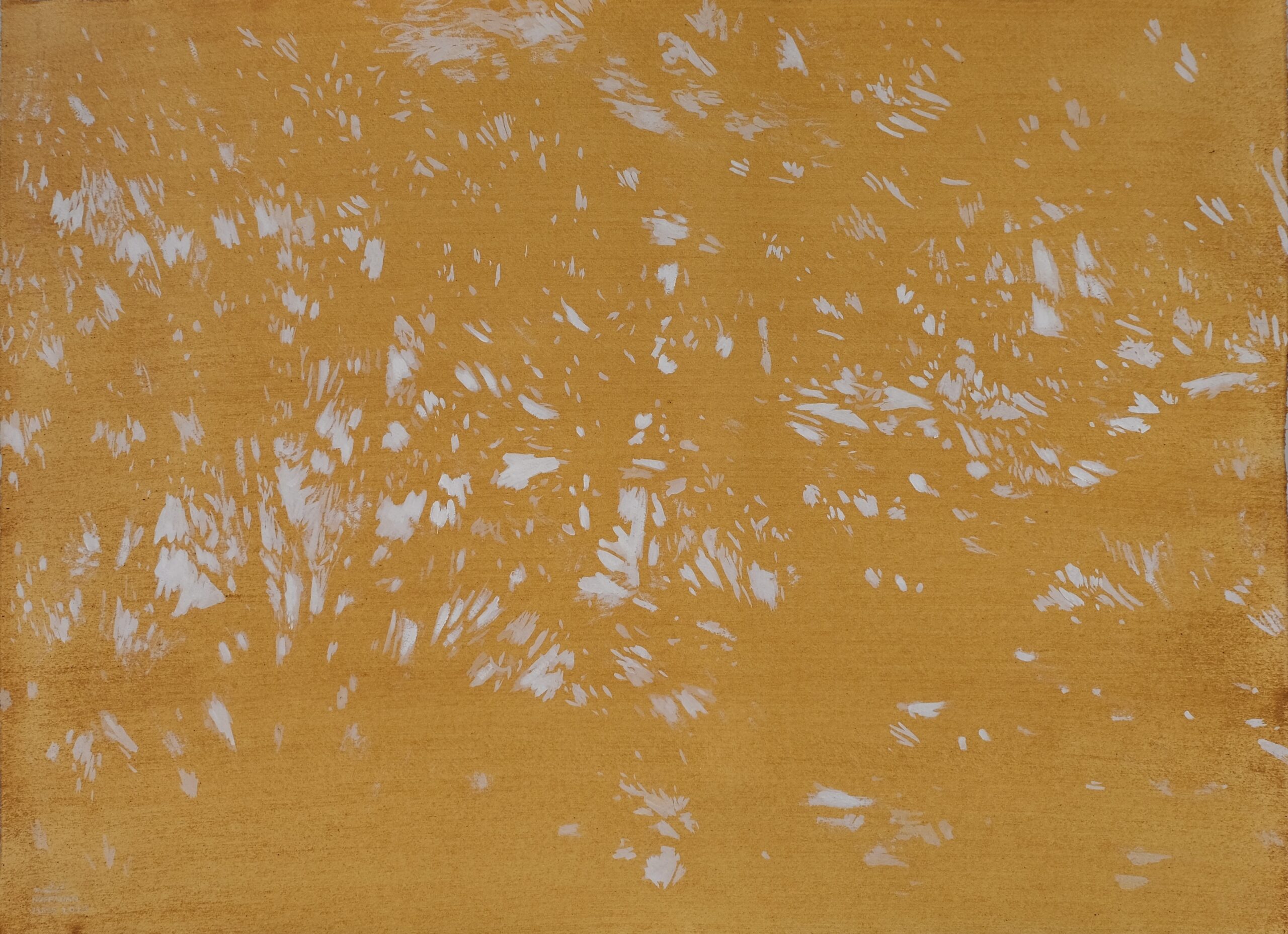 Light of the Dreaming #1