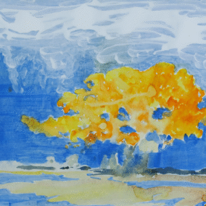 Golden Flamboyant Tree