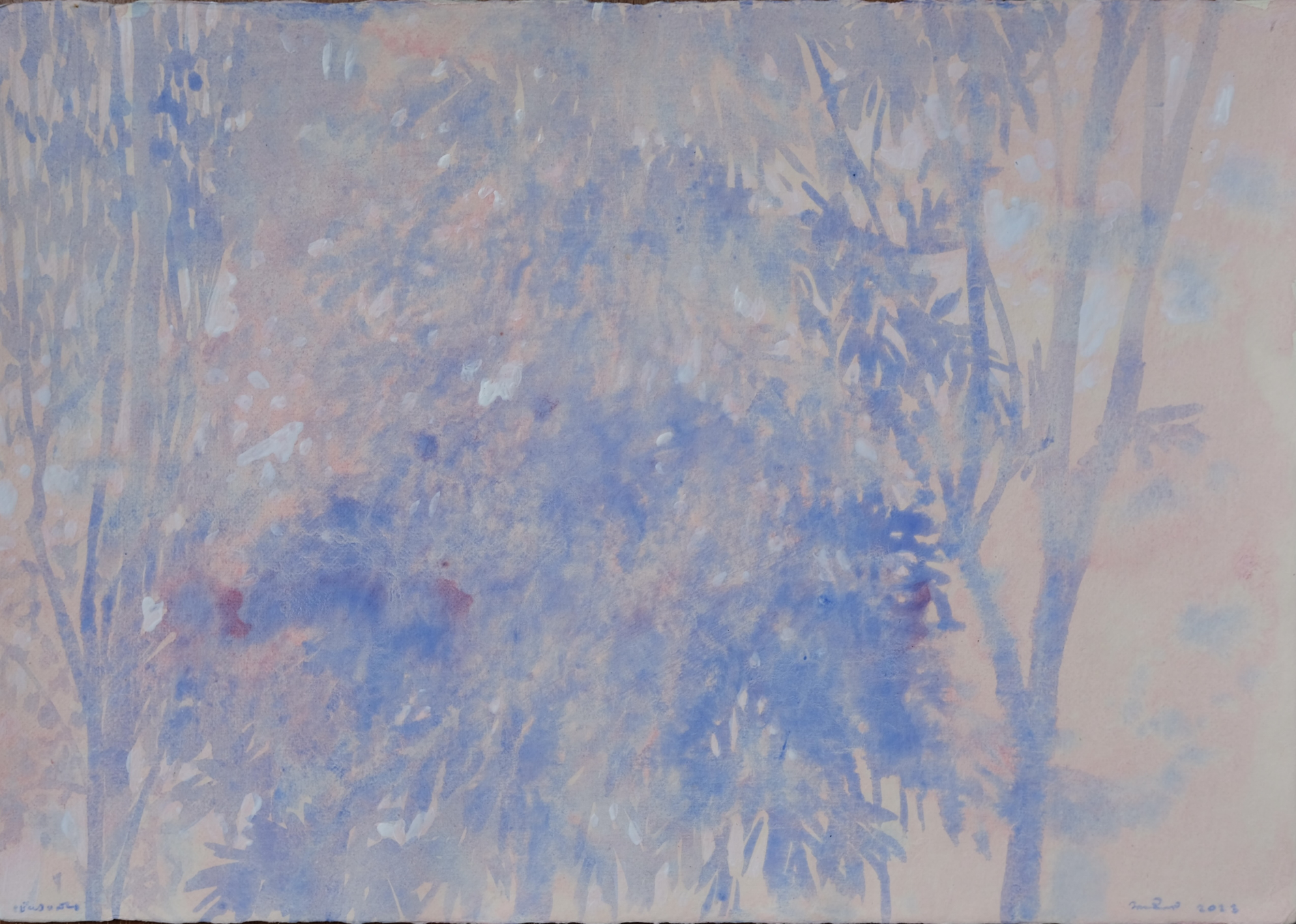 Light of Chiang Saen 1