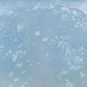 Light Upon The Ground