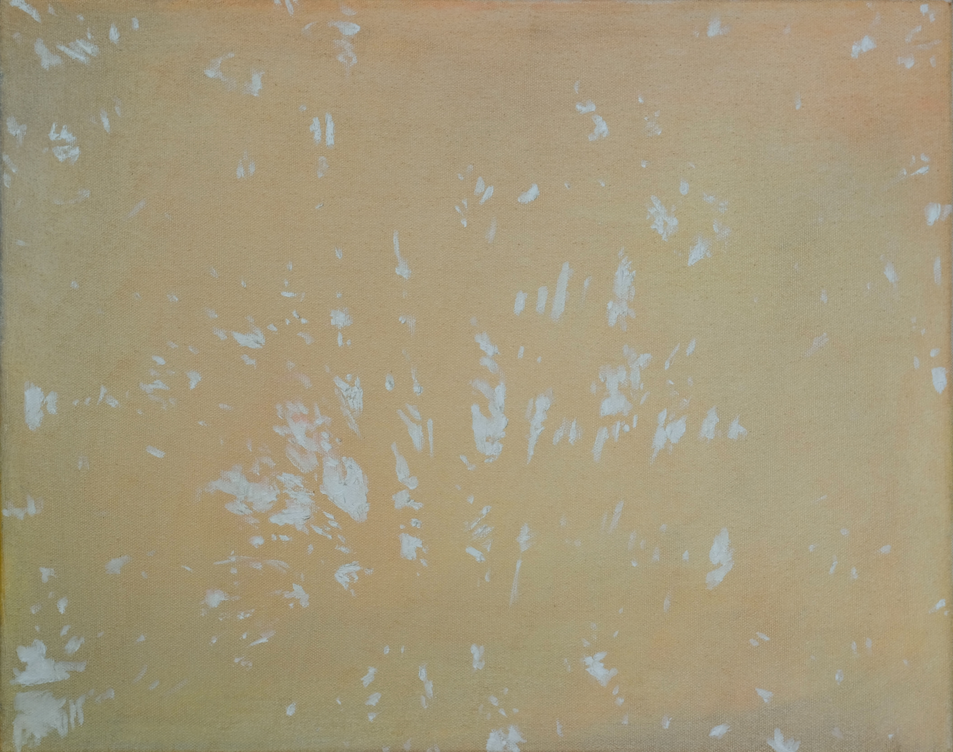 Light’s Whisper (Chiang Rai) 2