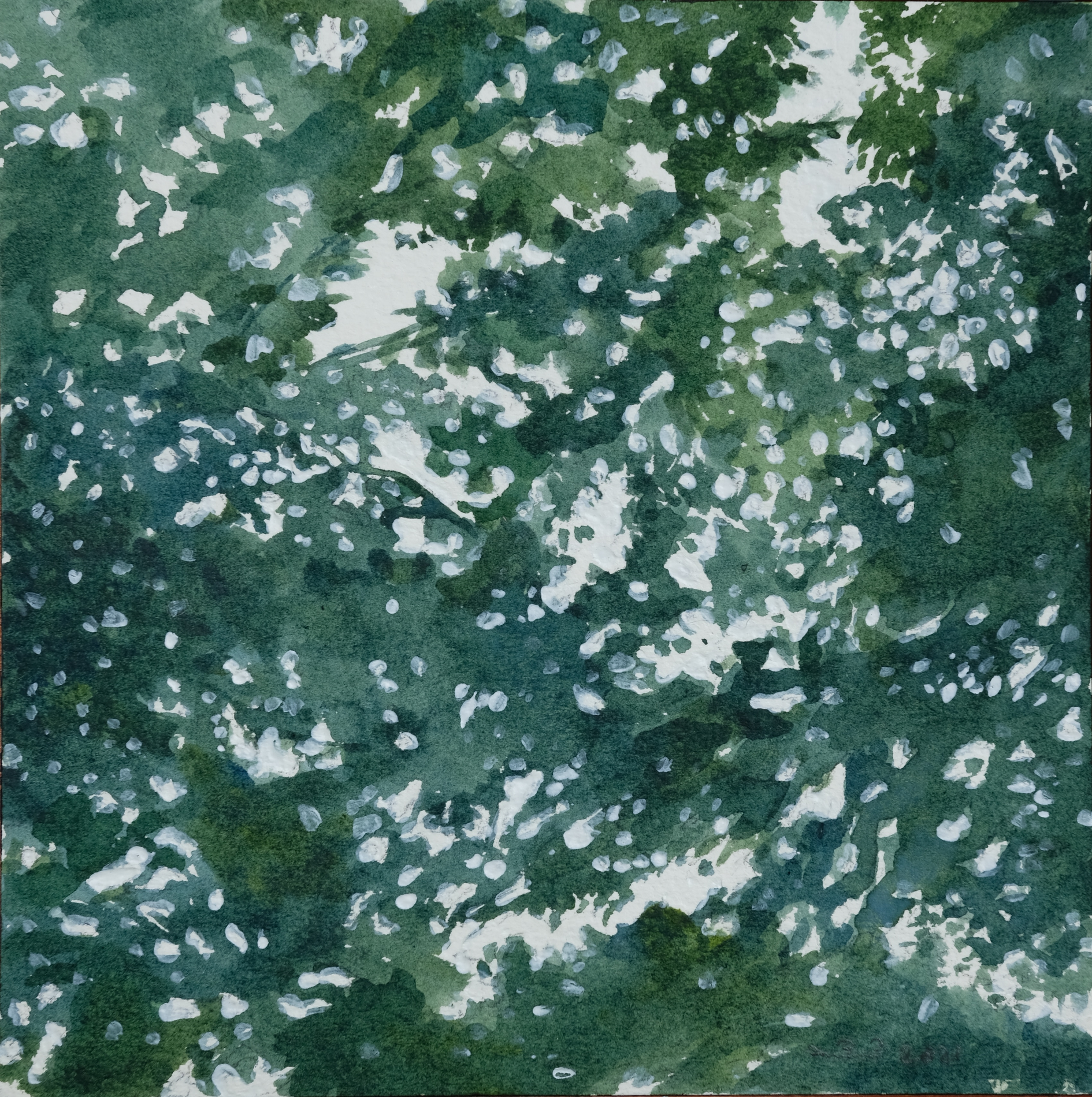 Light’s Whisper SS2