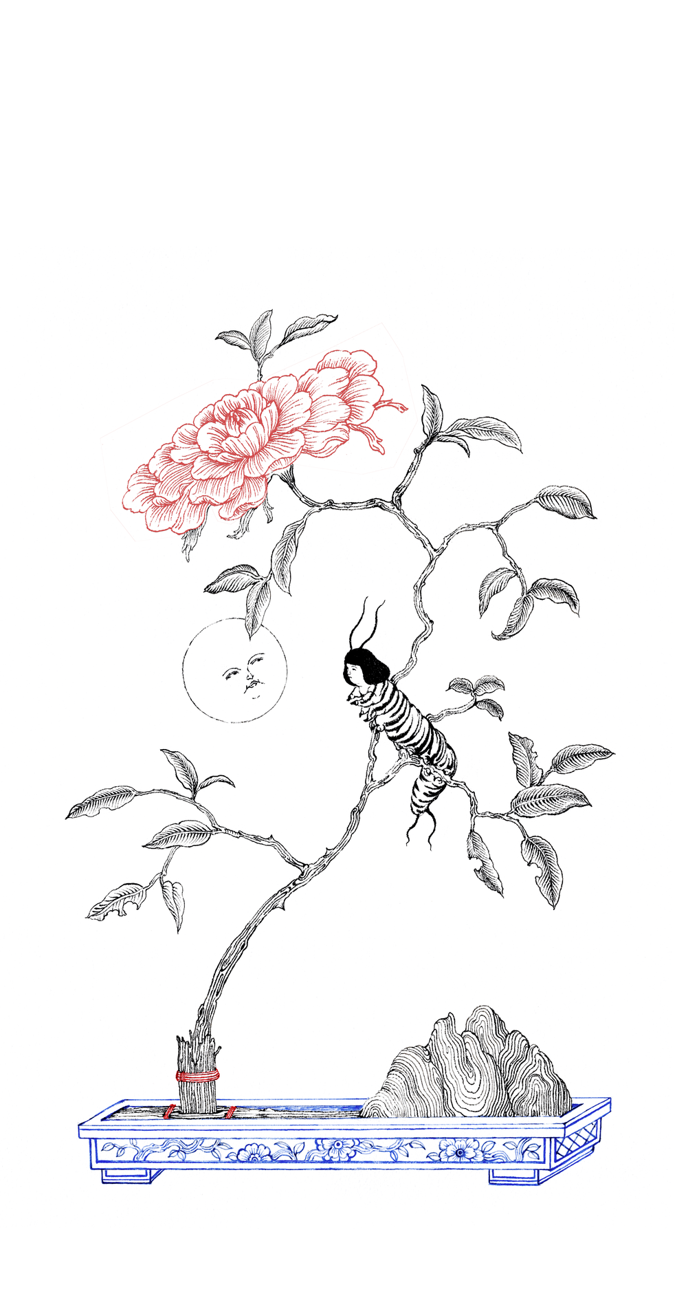 A discussion of the fortune teller