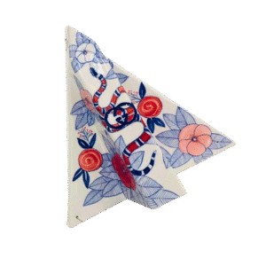 Airplane