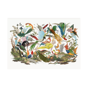 Birds of Mt. Karavika
