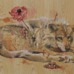 Wild Spirit 1