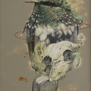 Wild Spirit 2