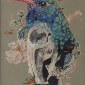 Wild Spirit 5