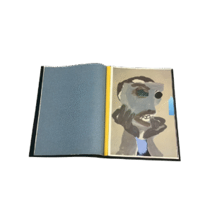 Art book